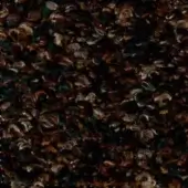 Irregular brown texture composed of layered organic elements with muted teal and gray accents, displaying a dense, matte, and chaotic pattern.